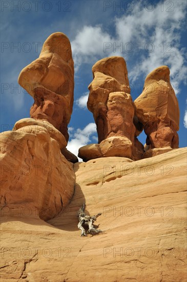 Sandstone rocks on petrified sandstone dunes