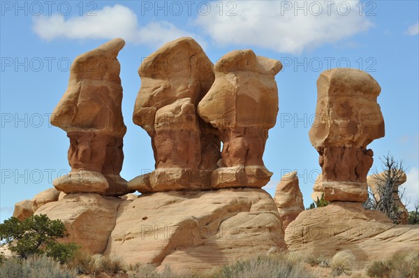 Sandstone rocks on petrified sandstone dunes