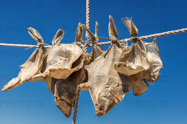 Drying fish