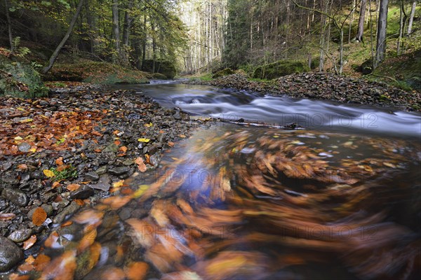 Course of the Polenz river through the Polenz valley