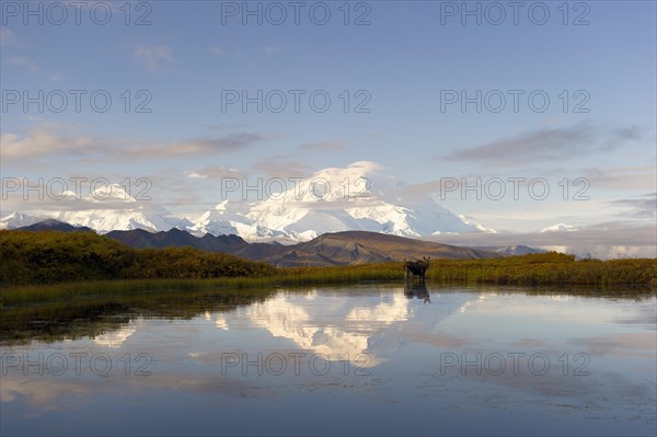 Mount Denali reflected in lake