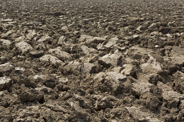 Freshly plowed field in spring