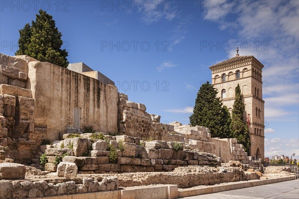 A section of the old Roman Wall