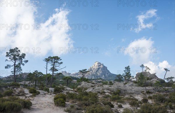 Walking path to Piscia di Gallo