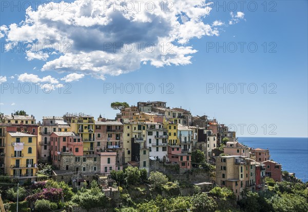 Corniglia with view of sea