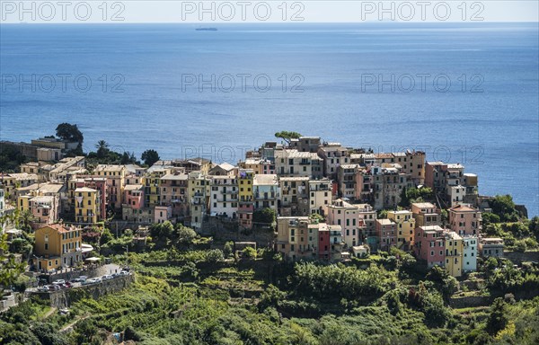 Corniglia with view of sea