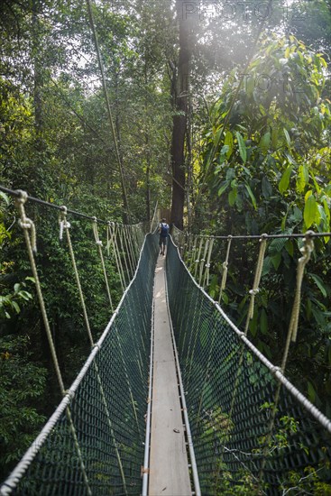 Young male tourist on a suspension bridge in the jungle