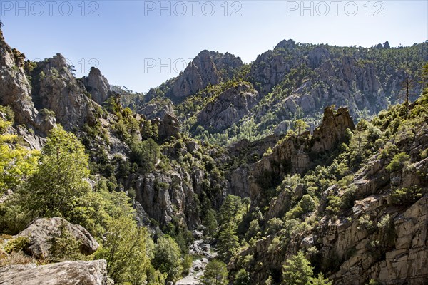Tavignano river valley