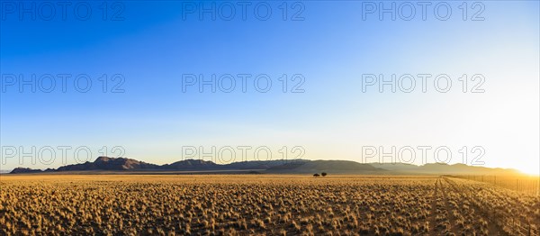 Sunset on Tiras Farm