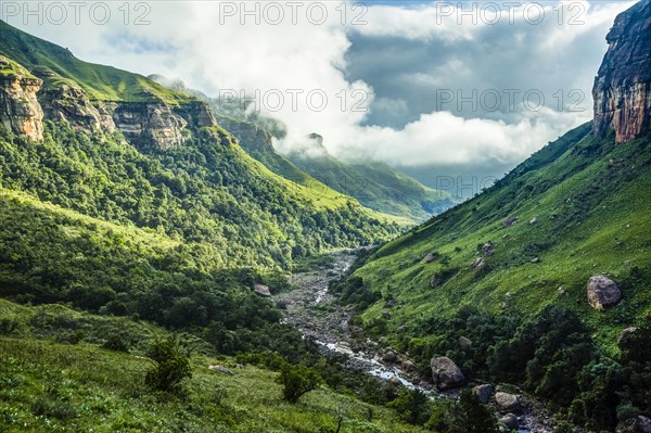 Green scenery along Tugela river