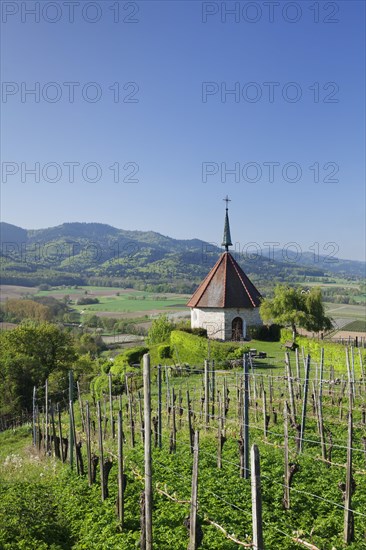 Olbergkapelle chapel