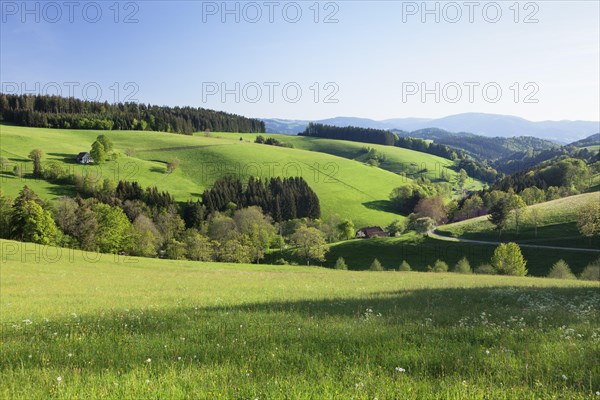 Spring in Glottertal