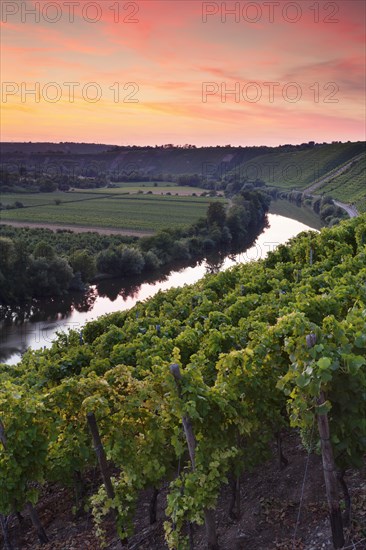 Neckar