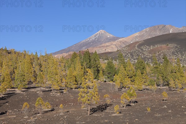 Pico del Teide and Pico Viejo