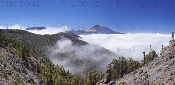 Volcano Pico del Teide above the trade wind clouds