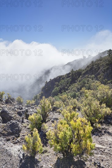 Cumulus clouds at Pico de Malpaso