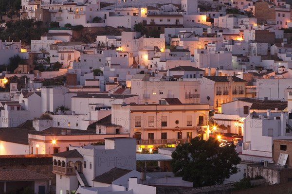 Lighted houses in the evening