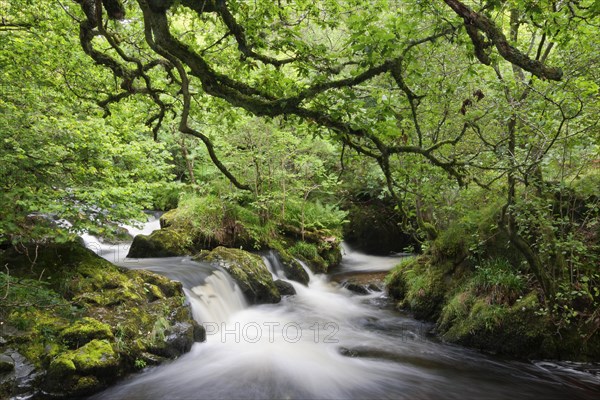River Aira