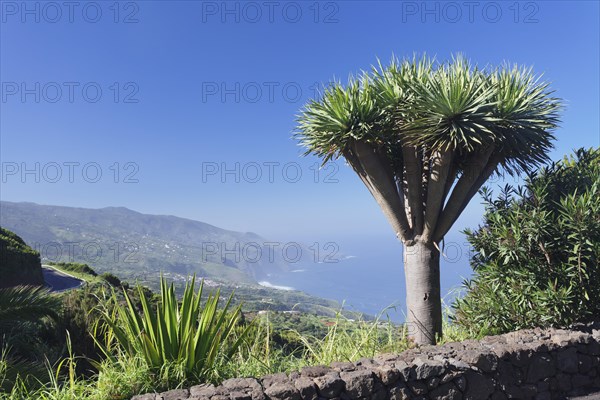 View from the Mirador de la Tosca on the north coast