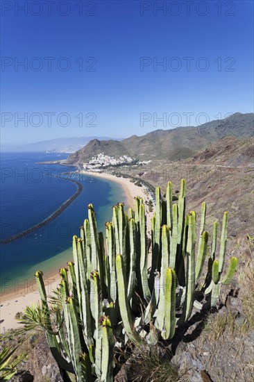 Beach Playa de las Teresitas