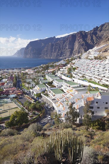 Los Gigantes