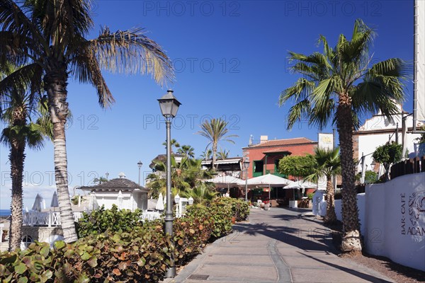 Promenade at Playa del Duque