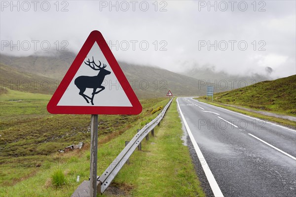 Attention deer crossing road sign
