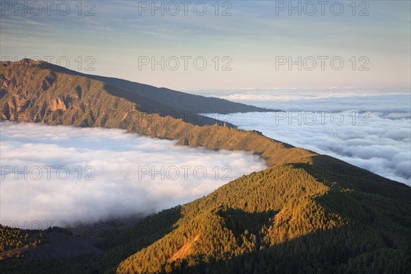 Cumbre Nueva and Cumbre Vieja