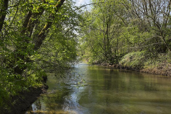 Lafnitz river