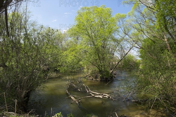 Lafnitz river