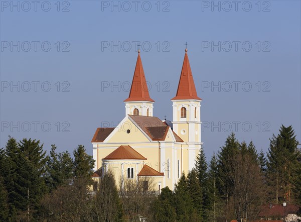 Pilgrimage church Maria Schnee