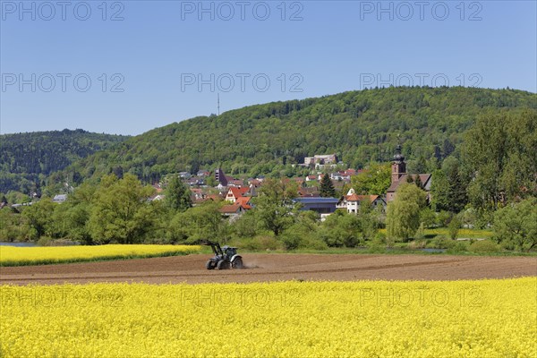 View of Sackenbach