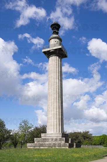 Constitution Pillar