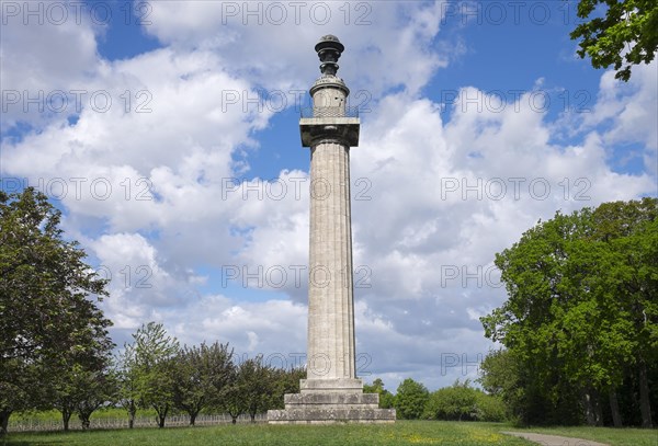 Constitution Pillar