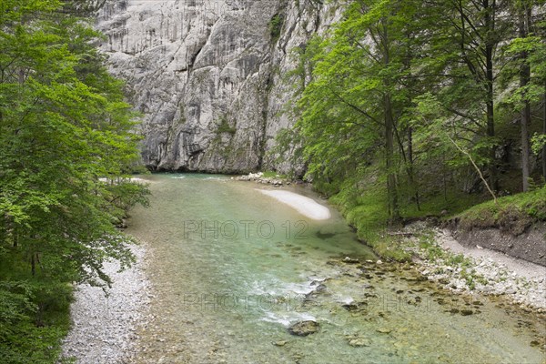 River Schwarza in the Hollental valley