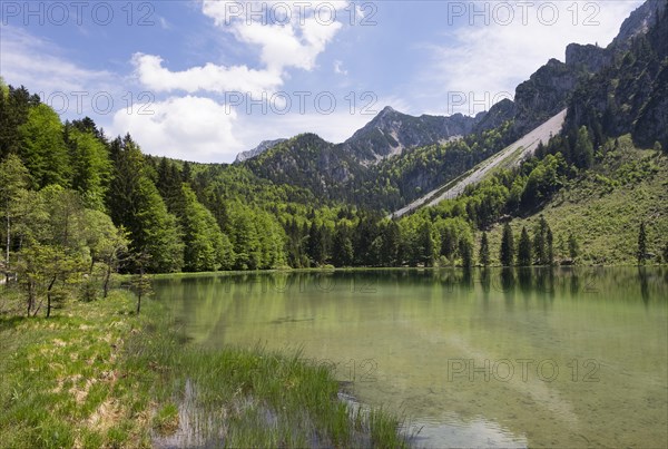 Lake Frillensee