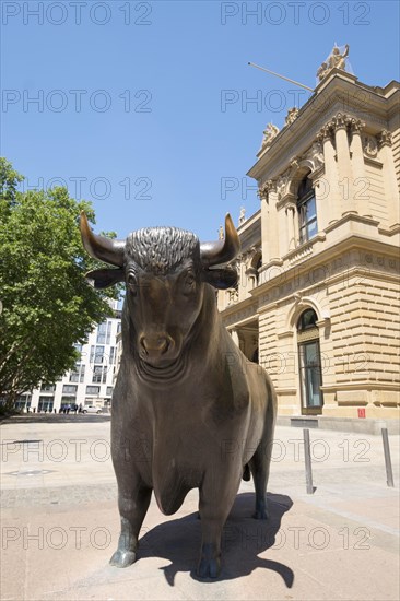 The bull of the sculpture Bull and Bear at the stock exchange