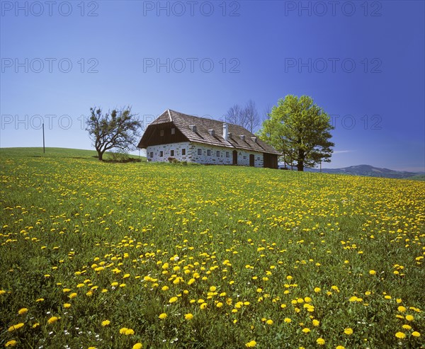 Farmhouse in St. Michael