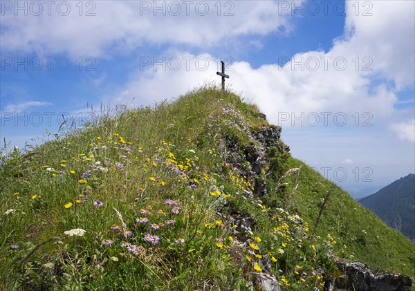 Summit cross and mountain flowers on Hochgern