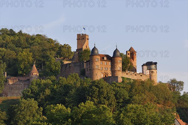 Burg Wertheim