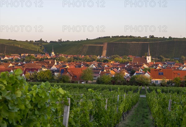 Nordheim am Main and Escherndorf behind