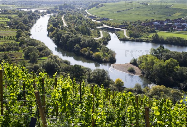View from the castle over Alter Main