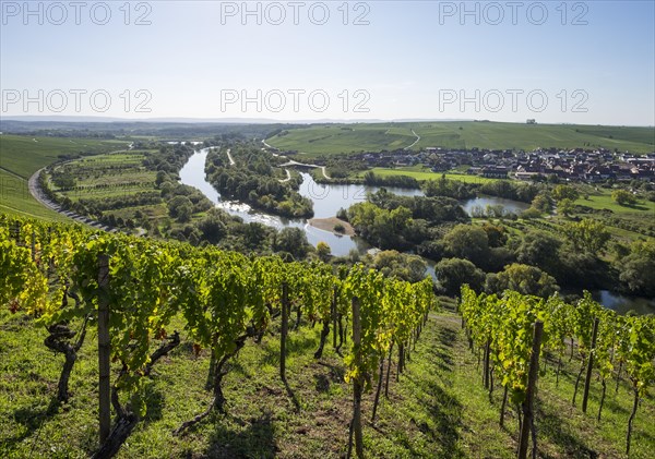 View from the castle over Alter Main