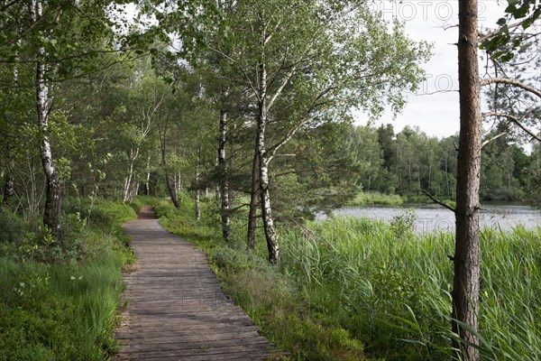 Riedsee lake in Wurzacher Ried