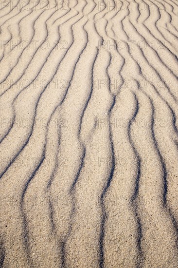 Wavy lines in sand