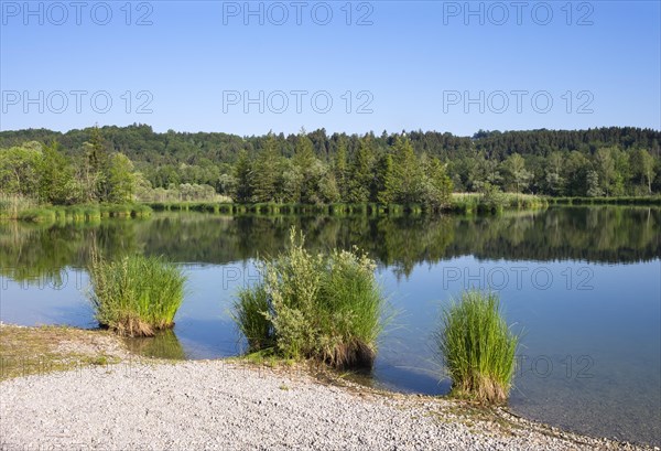 Ickinger Reservoir in the Nature Reserve Isarauen with the Church of Icking