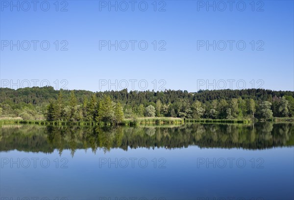 Ickinger Reservoir in the Nature Reserve Isarauen with the Church of Icking