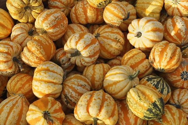 Microwave pumpkins