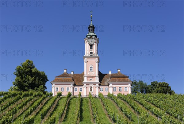 Birnau pilgrimage church with vineyard