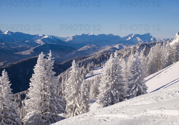 Winter landscape